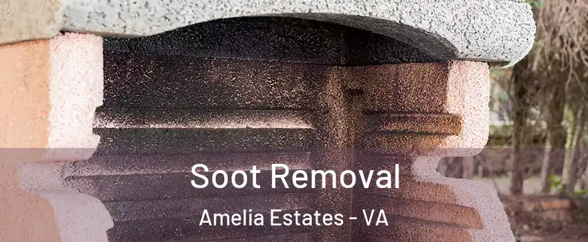 Soot Removal Amelia Estates - VA