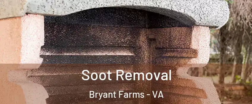 Soot Removal Bryant Farms - VA