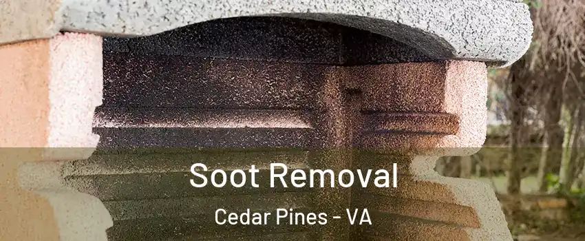 Soot Removal Cedar Pines - VA