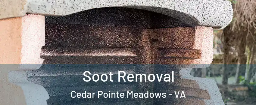Soot Removal Cedar Pointe Meadows - VA