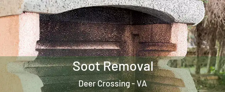 Soot Removal Deer Crossing - VA