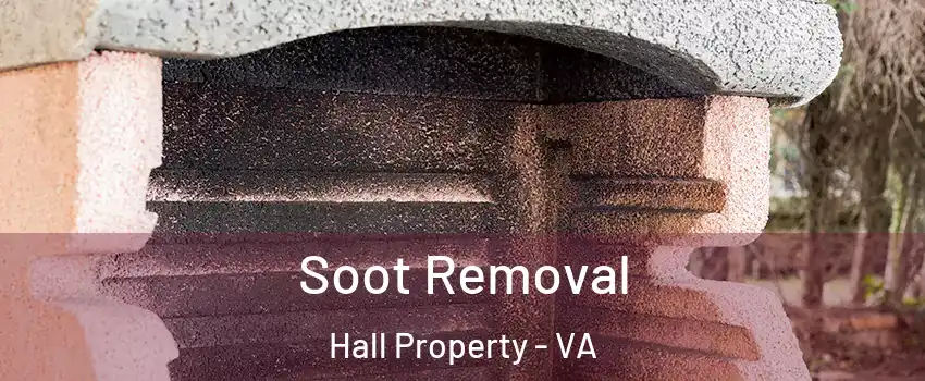 Soot Removal Hall Property - VA