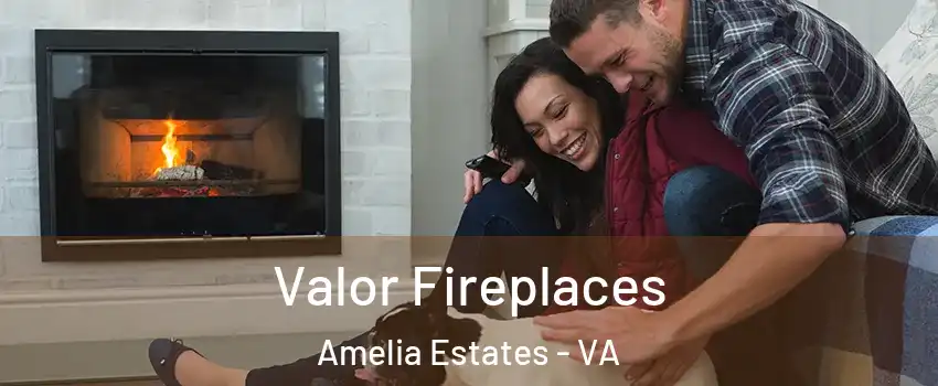 Valor Fireplaces Amelia Estates - VA