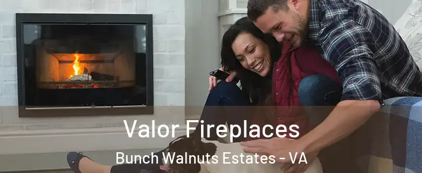 Valor Fireplaces Bunch Walnuts Estates - VA