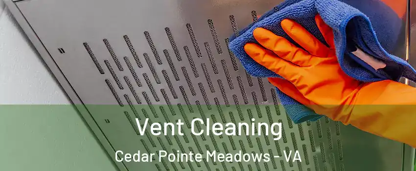 Vent Cleaning Cedar Pointe Meadows - VA