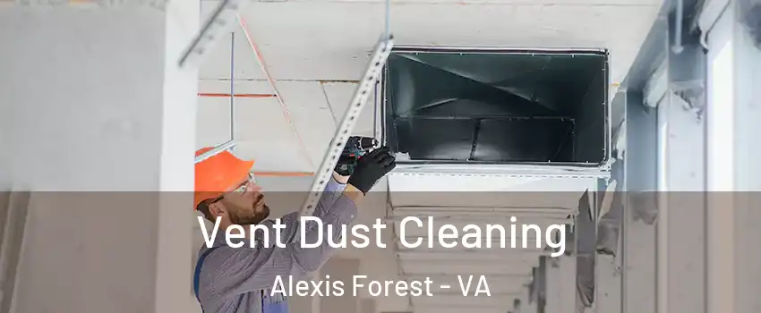 Vent Dust Cleaning Alexis Forest - VA