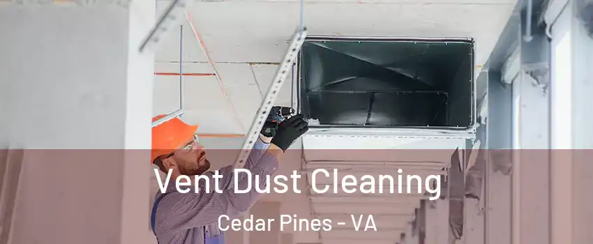 Vent Dust Cleaning Cedar Pines - VA