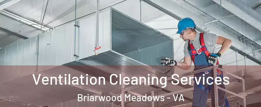 Ventilation Cleaning Services Briarwood Meadows - VA