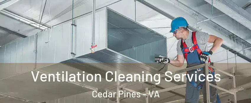 Ventilation Cleaning Services Cedar Pines - VA