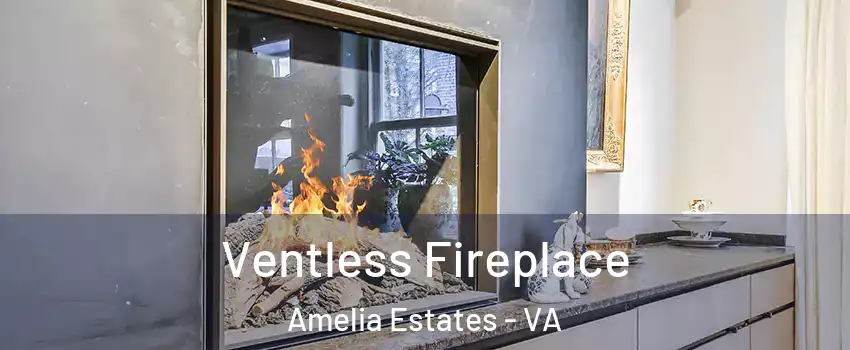 Ventless Fireplace Amelia Estates - VA