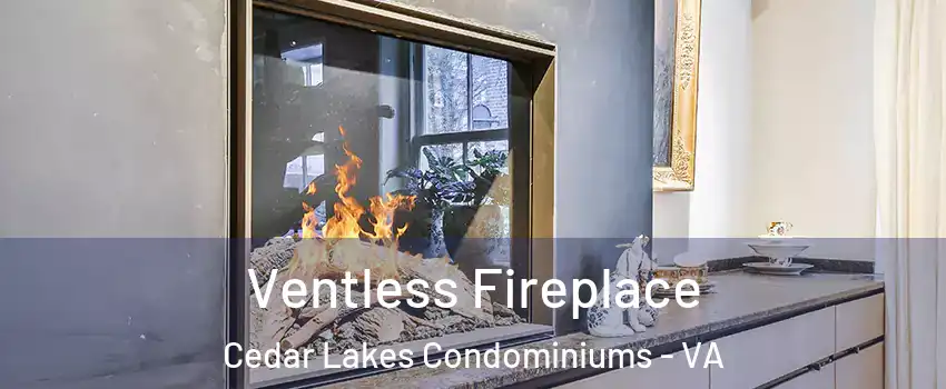 Ventless Fireplace Cedar Lakes Condominiums - VA