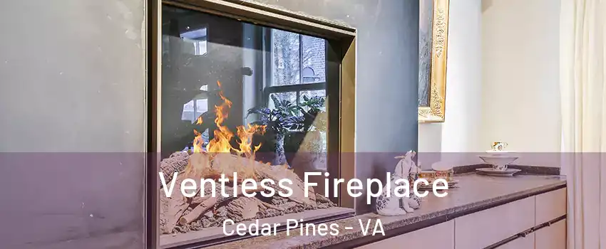 Ventless Fireplace Cedar Pines - VA