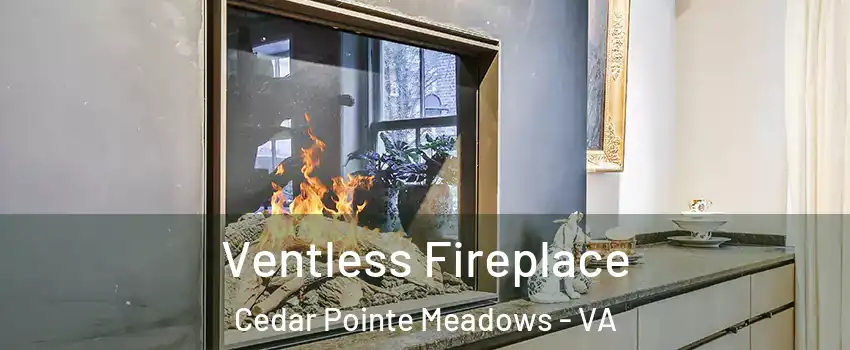 Ventless Fireplace Cedar Pointe Meadows - VA