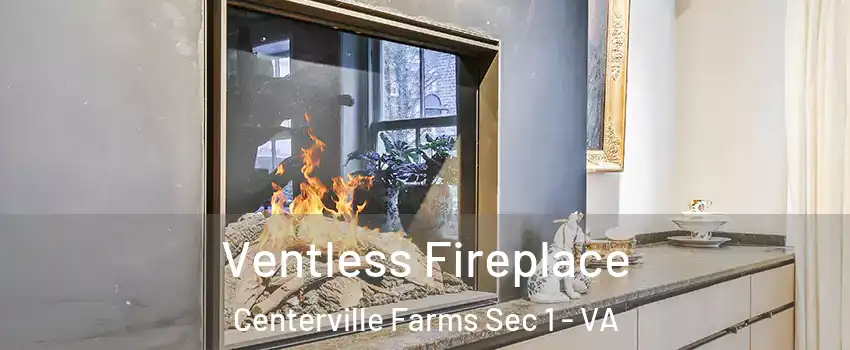 Ventless Fireplace Centerville Farms Sec 1 - VA