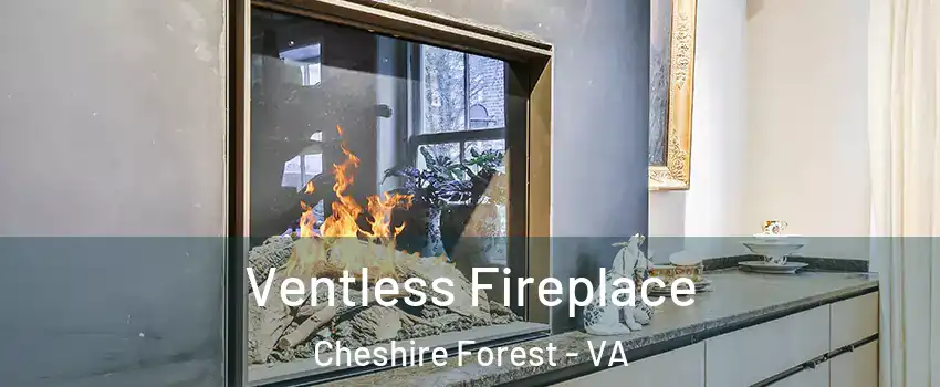 Ventless Fireplace Cheshire Forest - VA