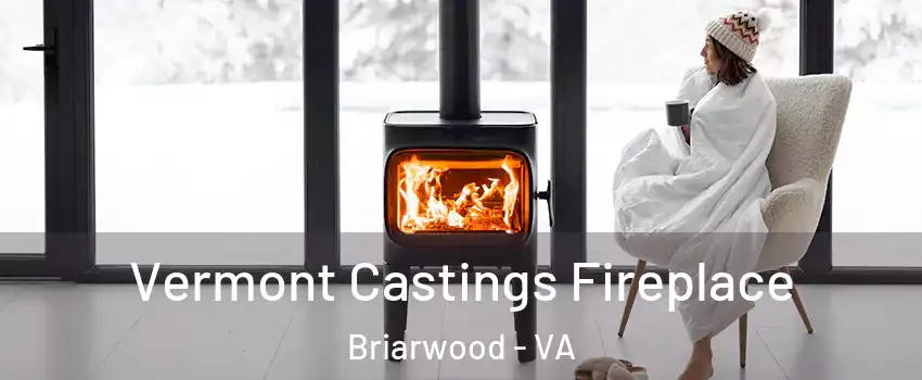 Vermont Castings Fireplace Briarwood - VA