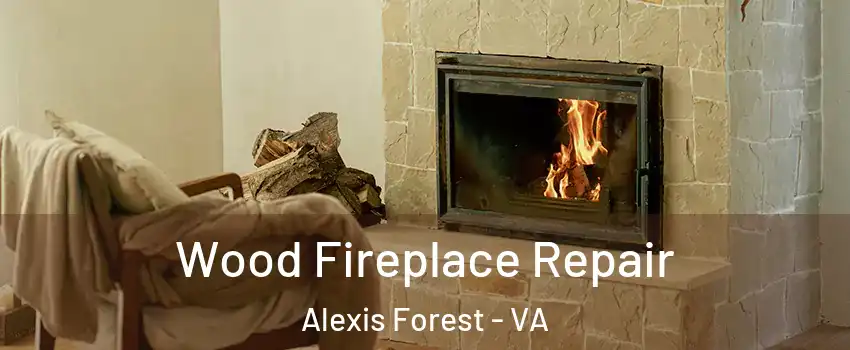 Wood Fireplace Repair Alexis Forest - VA