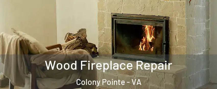 Wood Fireplace Repair Colony Pointe - VA