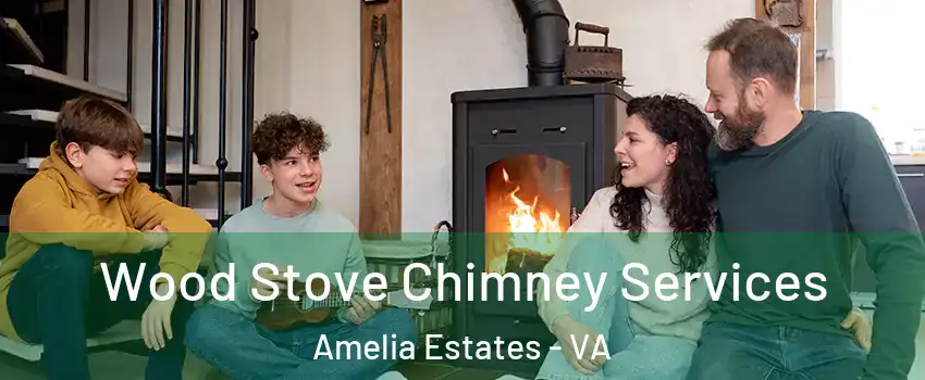 Wood Stove Chimney Services Amelia Estates - VA