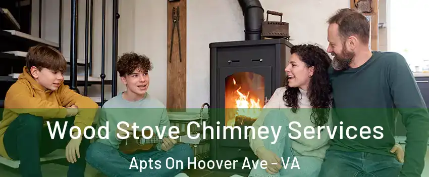 Wood Stove Chimney Services Apts On Hoover Ave - VA