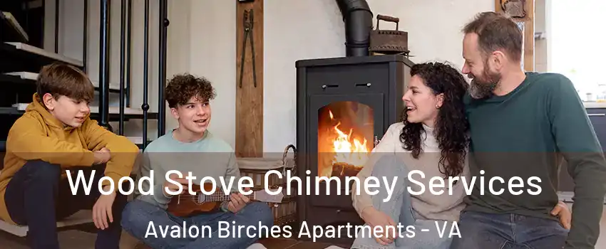 Wood Stove Chimney Services Avalon Birches Apartments - VA
