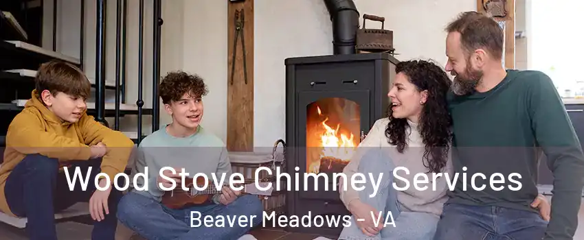 Wood Stove Chimney Services Beaver Meadows - VA