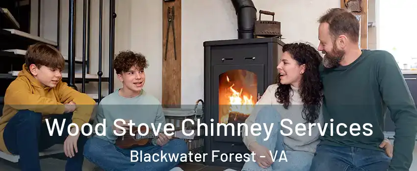 Wood Stove Chimney Services Blackwater Forest - VA