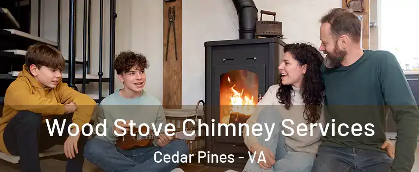 Wood Stove Chimney Services Cedar Pines - VA
