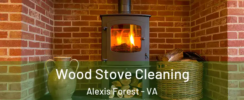Wood Stove Cleaning Alexis Forest - VA