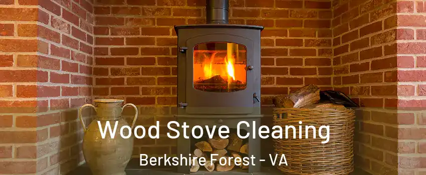 Wood Stove Cleaning Berkshire Forest - VA