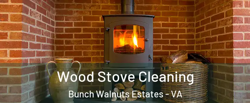 Wood Stove Cleaning Bunch Walnuts Estates - VA
