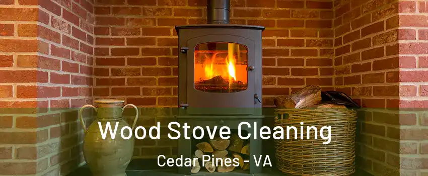 Wood Stove Cleaning Cedar Pines - VA