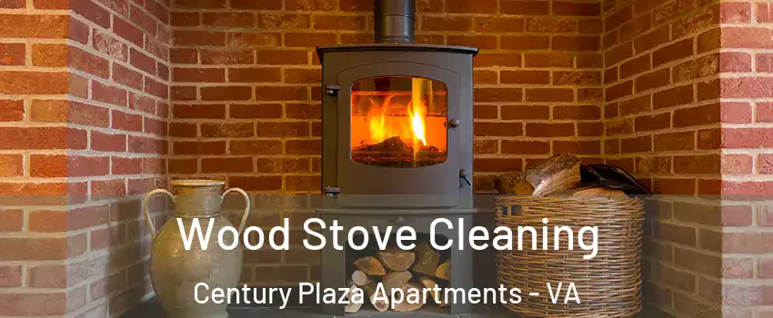 Wood Stove Cleaning Century Plaza Apartments - VA