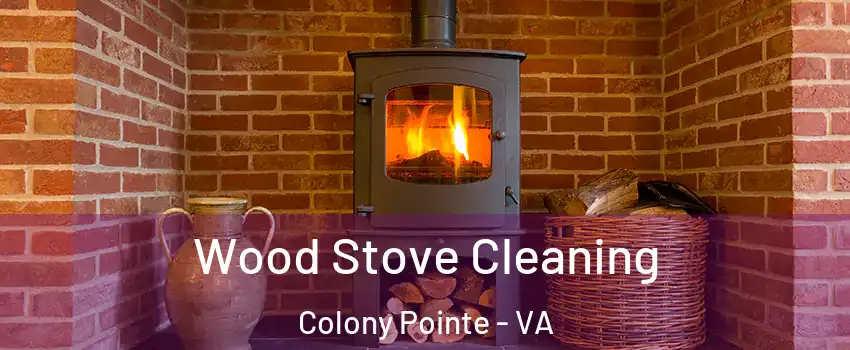 Wood Stove Cleaning Colony Pointe - VA