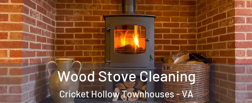 Wood Stove Cleaning Cricket Hollow Townhouses - VA