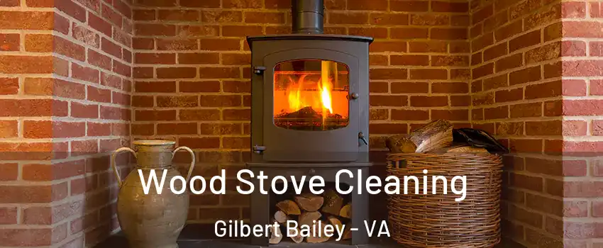 Wood Stove Cleaning Gilbert Bailey - VA
