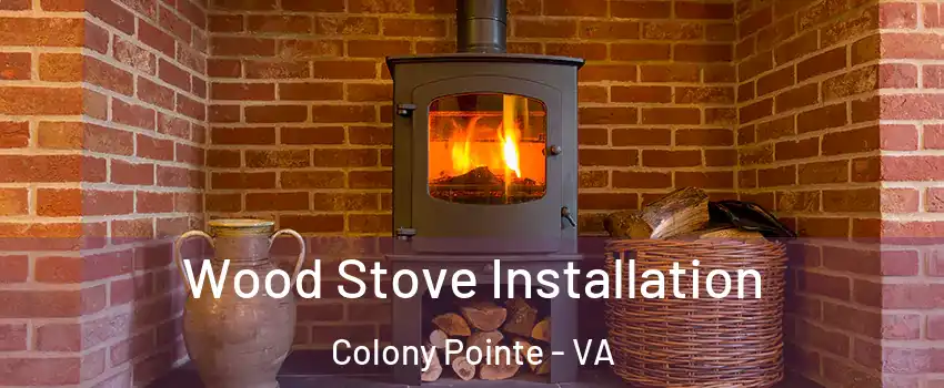 Wood Stove Installation Colony Pointe - VA