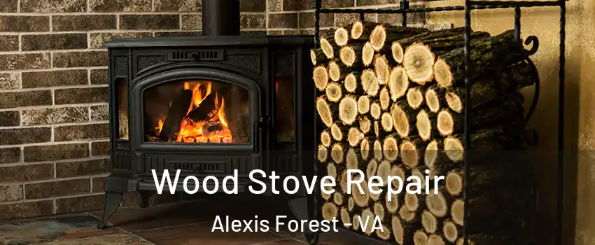 Wood Stove Repair Alexis Forest - VA
