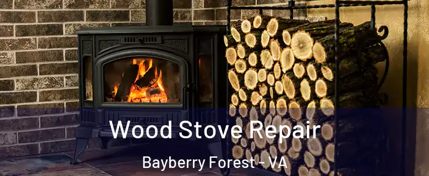 Wood Stove Repair Bayberry Forest - VA