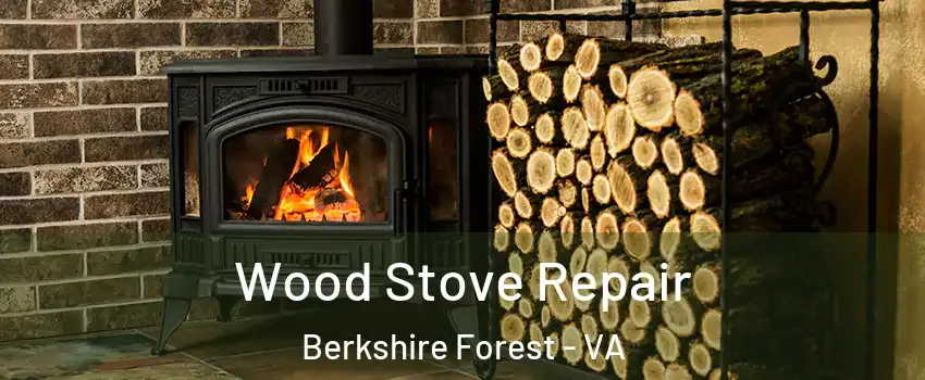 Wood Stove Repair Berkshire Forest - VA