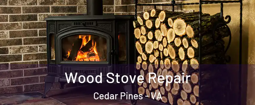 Wood Stove Repair Cedar Pines - VA