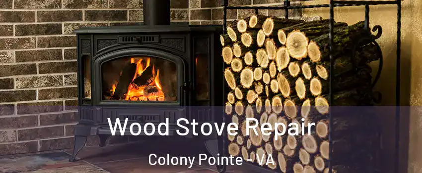 Wood Stove Repair Colony Pointe - VA